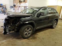 Toyota salvage cars for sale: 2024 Toyota Rav4 XLE