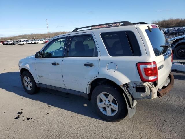 2009 Ford Escape Hybrid