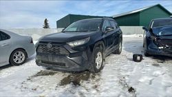 Vehiculos salvage en venta de Copart Montreal Est, QC: 2019 Toyota Rav4 LE