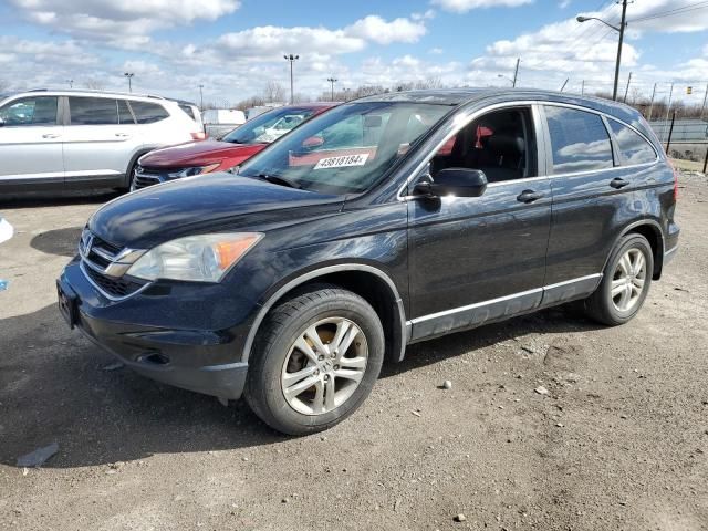 2010 Honda CR-V EXL