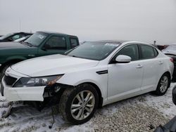 KIA Vehiculos salvage en venta: 2013 KIA Optima EX