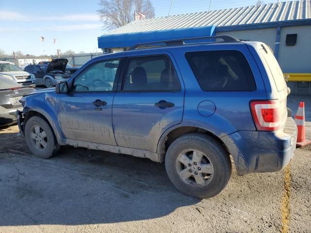 2009 Ford Escape XLT