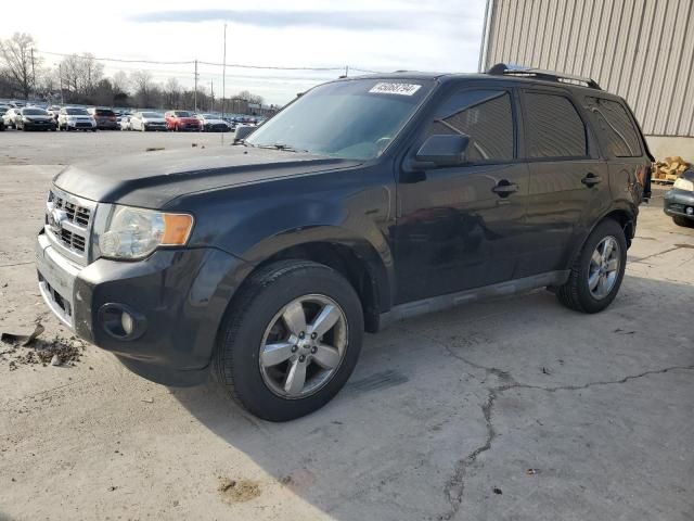 2010 Ford Escape Limited