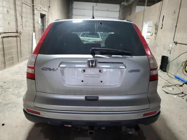 2010 Honda CR-V EX