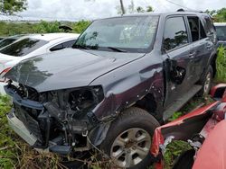 Salvage cars for sale at Kapolei, HI auction: 2023 Toyota 4runner SR5