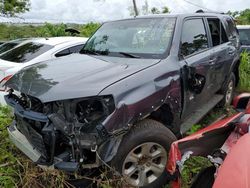 Toyota salvage cars for sale: 2023 Toyota 4runner SR5