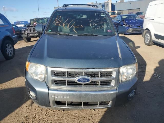 2011 Ford Escape Limited