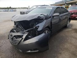 Salvage cars for sale at Memphis, TN auction: 2009 Toyota Camry SE