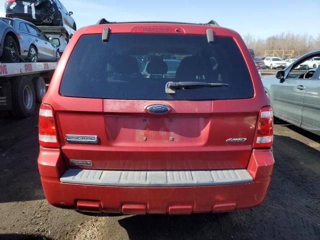 2008 Ford Escape XLT