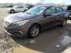 Salvage cars for sale from Copart Louisville, KY: 2016 Hyundai Sonata SE