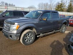 Salvage cars for sale at Davison, MI auction: 2013 Ford F150 Supercrew