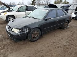 Salvage cars for sale at Bowmanville, ON auction: 2001 Toyota Corolla CE