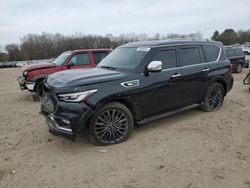 Salvage cars for sale from Copart Conway, AR: 2023 Infiniti QX80 Sensory