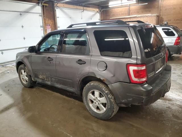 2010 Ford Escape XLT