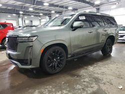 Vehiculos salvage en venta de Copart Ham Lake, MN: 2023 Cadillac Escalade Sport