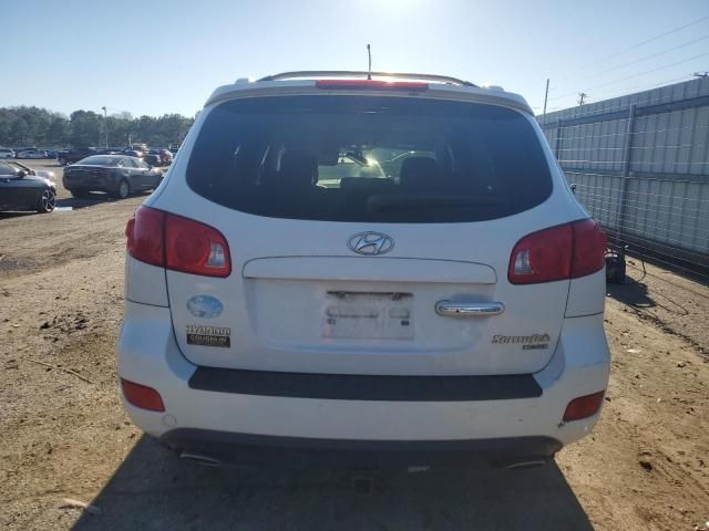 2009 Hyundai Santa FE SE