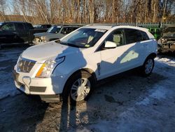 Cadillac SRX salvage cars for sale: 2011 Cadillac SRX Luxury Collection