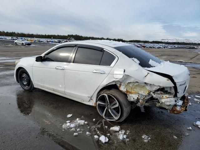 2010 Honda Accord LXP