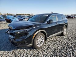 Honda cr-v exl Vehiculos salvage en venta: 2023 Honda CR-V EXL