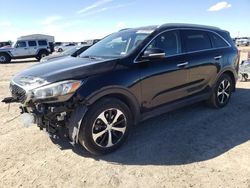 Salvage cars for sale at Amarillo, TX auction: 2016 KIA Sorento EX