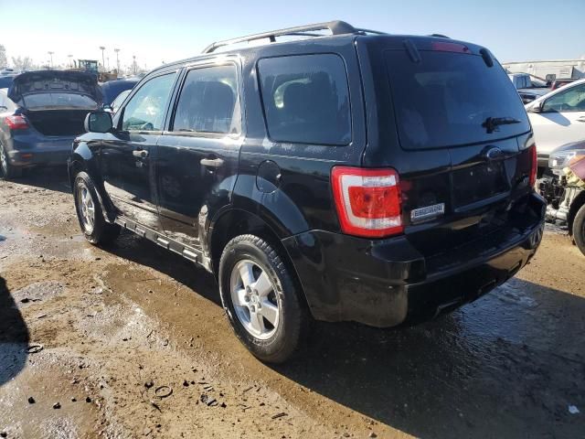 2010 Ford Escape XLT