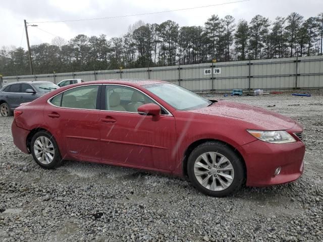 2014 Lexus ES 300H