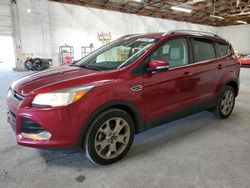 Ford Escape Titanium salvage cars for sale: 2016 Ford Escape Titanium