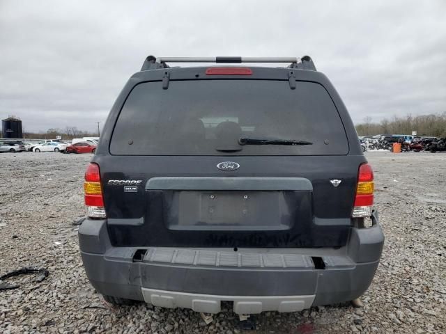 2014 Ford Escape XLT