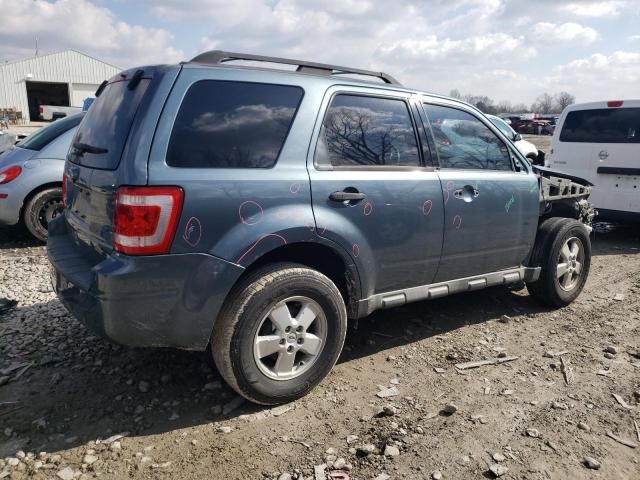 2010 Ford Escape XLT