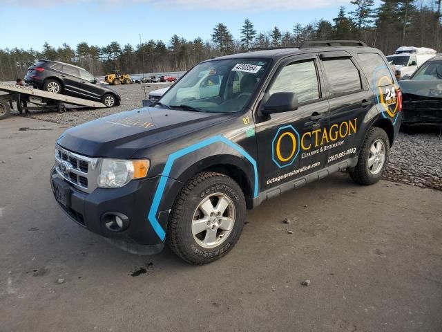 2011 Ford Escape XLT