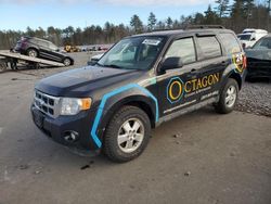 Salvage cars for sale at Windham, ME auction: 2011 Ford Escape XLT