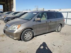 Honda salvage cars for sale: 2008 Honda Odyssey EXL