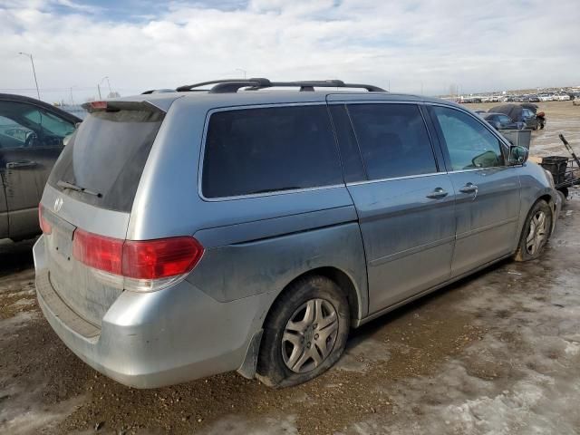 2008 Honda Odyssey EXL