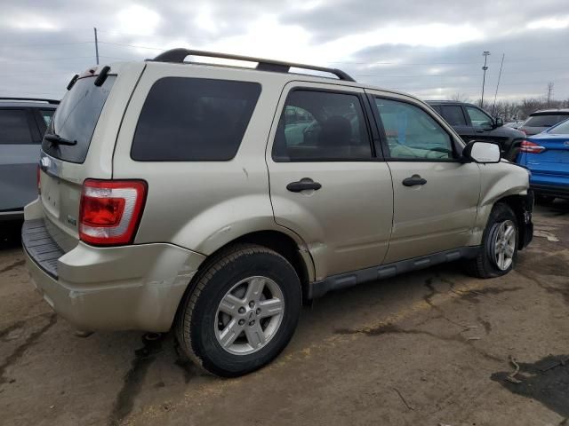 2011 Ford Escape XLT