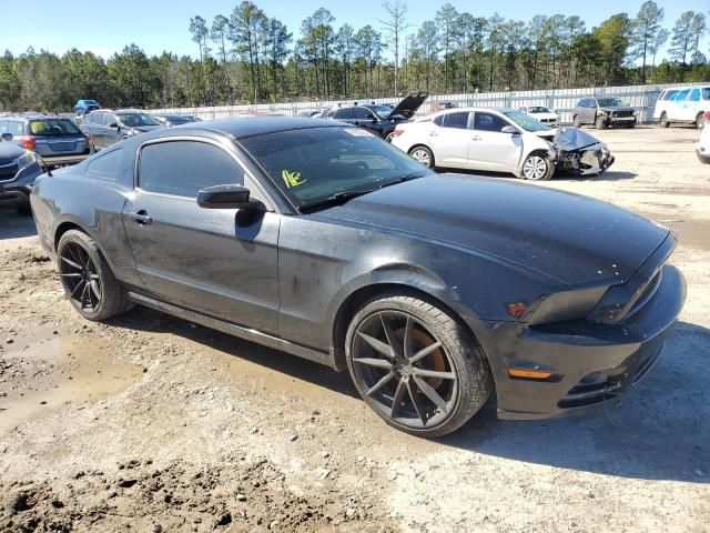 2013 Ford Mustang