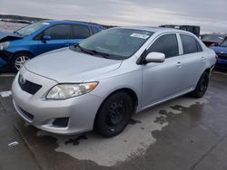 Toyota salvage cars for sale: 2010 Toyota Corolla Base