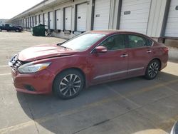 Vehiculos salvage en venta de Copart Louisville, KY: 2016 Nissan Altima 2.5