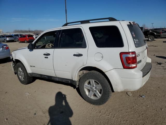 2010 Ford Escape Hybrid