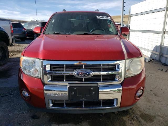 2009 Ford Escape Limited