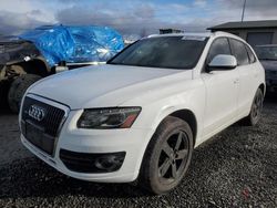 Salvage cars for sale at Eugene, OR auction: 2012 Audi Q5 Premium Plus