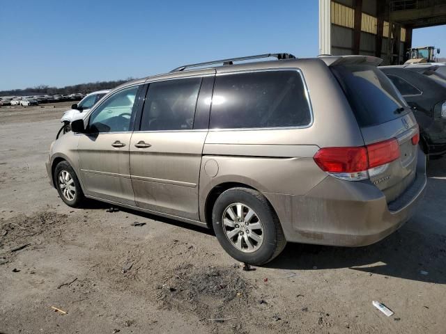 2008 Honda Odyssey EXL