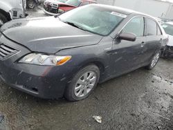 Salvage cars for sale at Vallejo, CA auction: 2007 Toyota Camry Hybrid