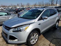 Salvage cars for sale at Bridgeton, MO auction: 2014 Ford Escape Titanium