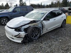 Salvage cars for sale from Copart Graham, WA: 2021 Tesla Model 3