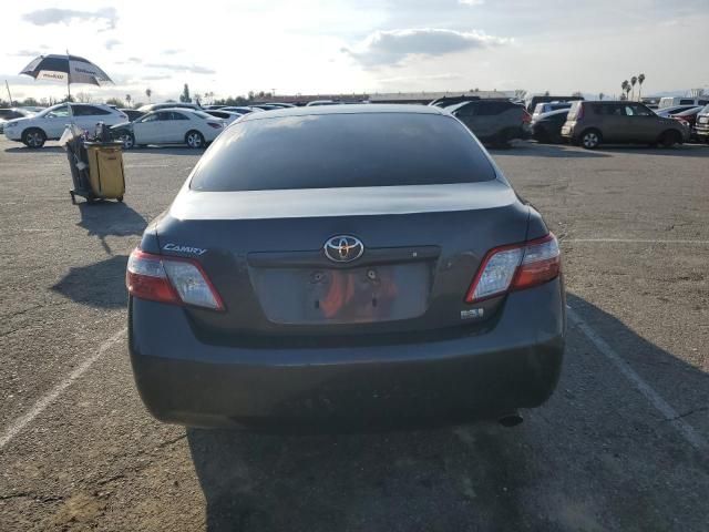 2009 Toyota Camry Hybrid