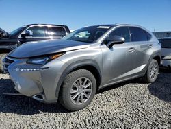 Salvage cars for sale from Copart Reno, NV: 2016 Lexus NX 200T Base