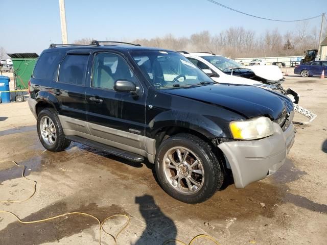 2001 Ford Escape XLT