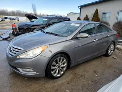 Salvage cars for sale from Copart Louisville, KY: 2013 Hyundai Sonata SE