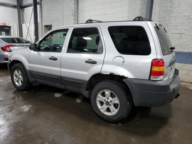 2005 Ford Escape XLT