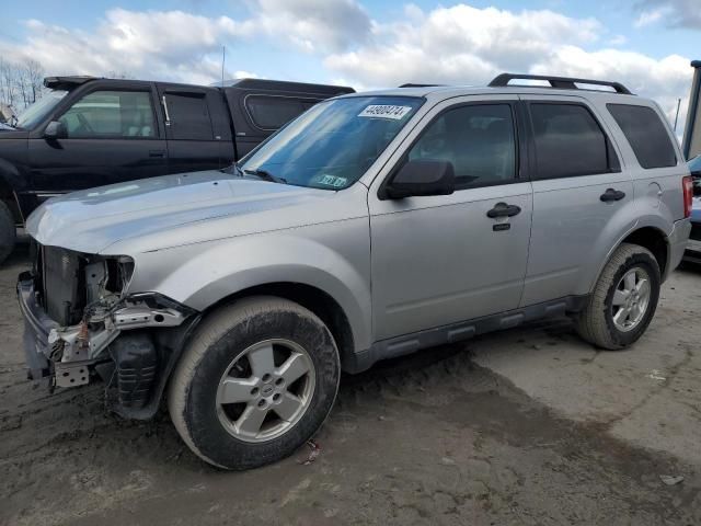 2011 Ford Escape XLT